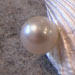 Silbermuscheln mit weisser Perle